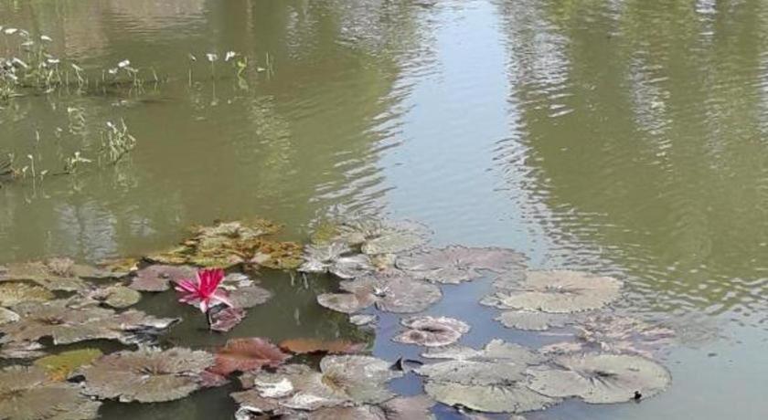 Hotel Oyo 769 Ban Thassanee Chiang Mai Esterno foto